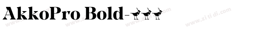 AkkoPro Bold字体转换